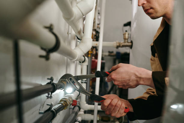 Best Local Plumber Services  in Hawthorne, FL