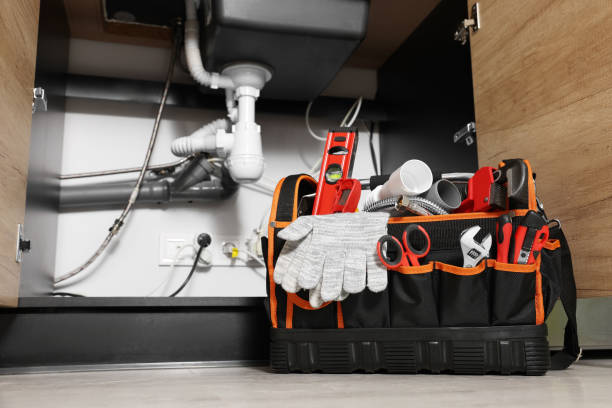 Best Plumbing Inspection Services  in Hawthorne, FL