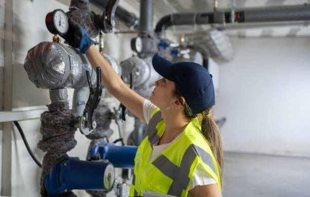 Best Affordable Plumbing Services  in Hawthorne, FL