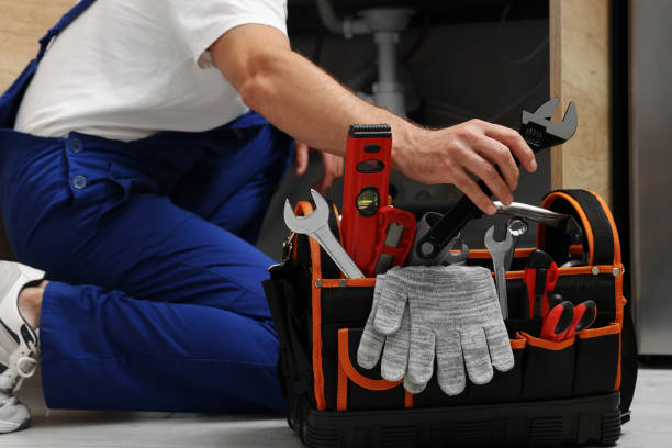 Best Commercial Plumbing Services  in Hawthorne, FL