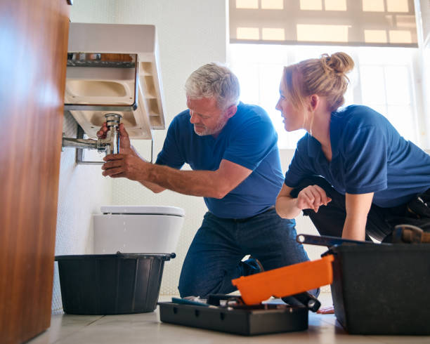 Best Toilet Repair Services  in Hawthorne, FL